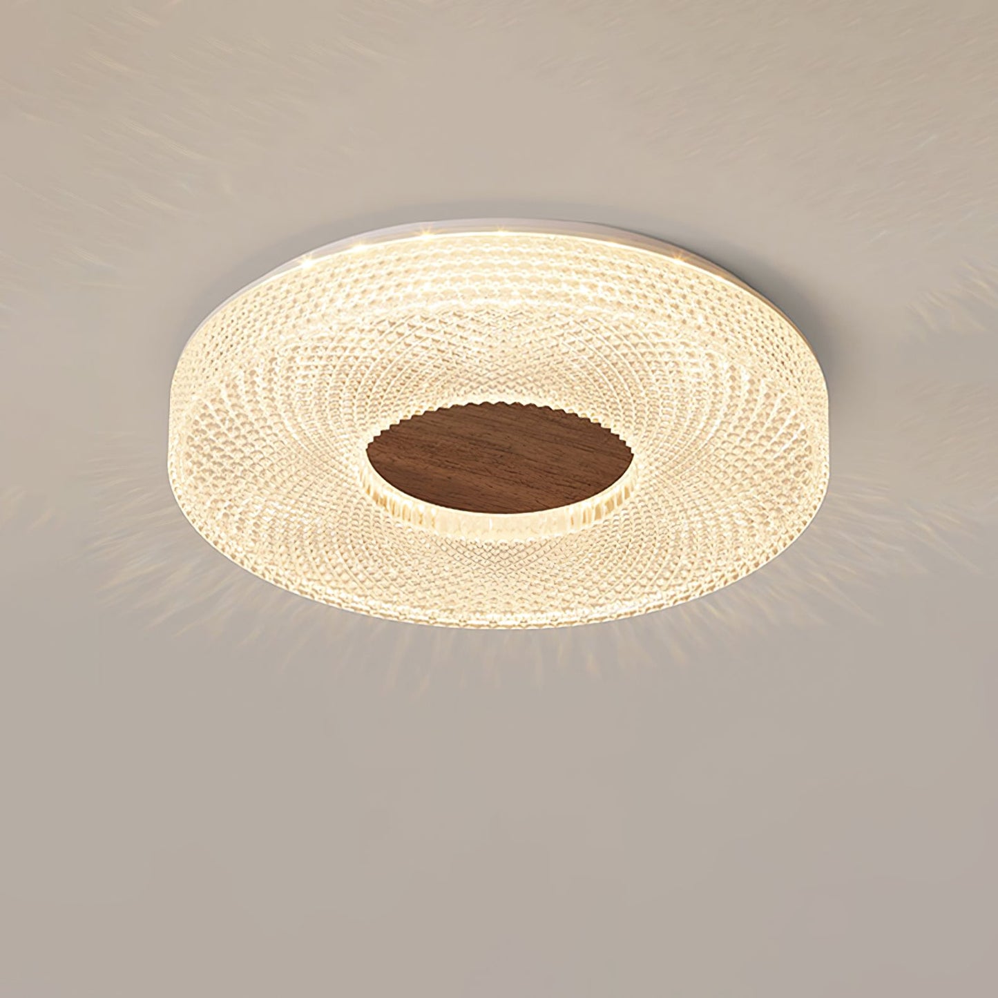 Acrylic Halo Round Ceiling Light