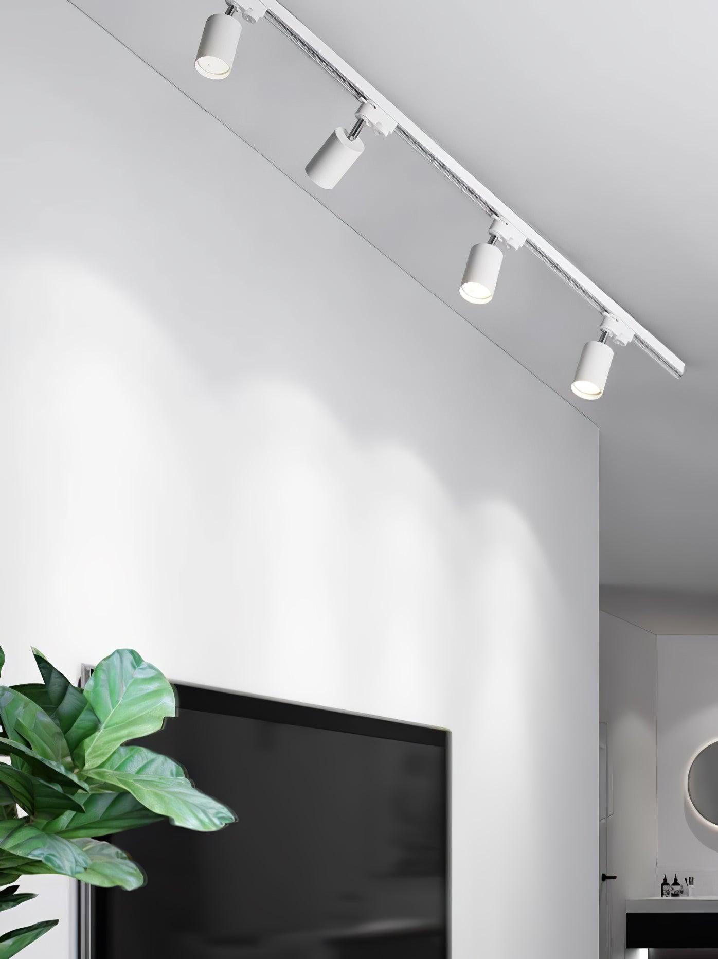 Adjustable Spotlight Track Ceiling Light