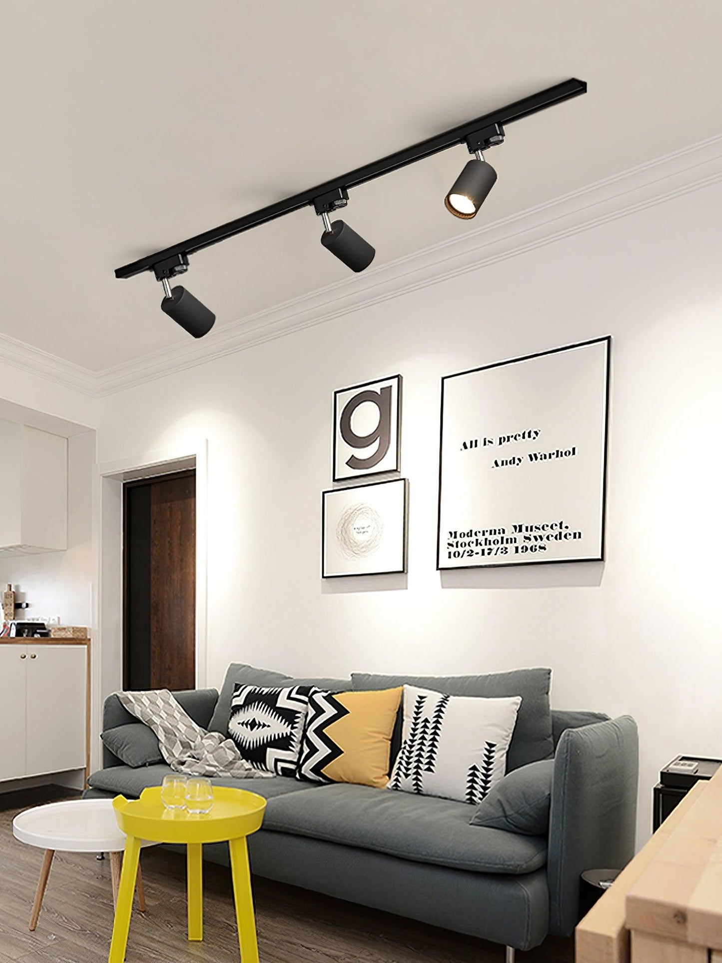 Adjustable Spotlight Track Ceiling Light