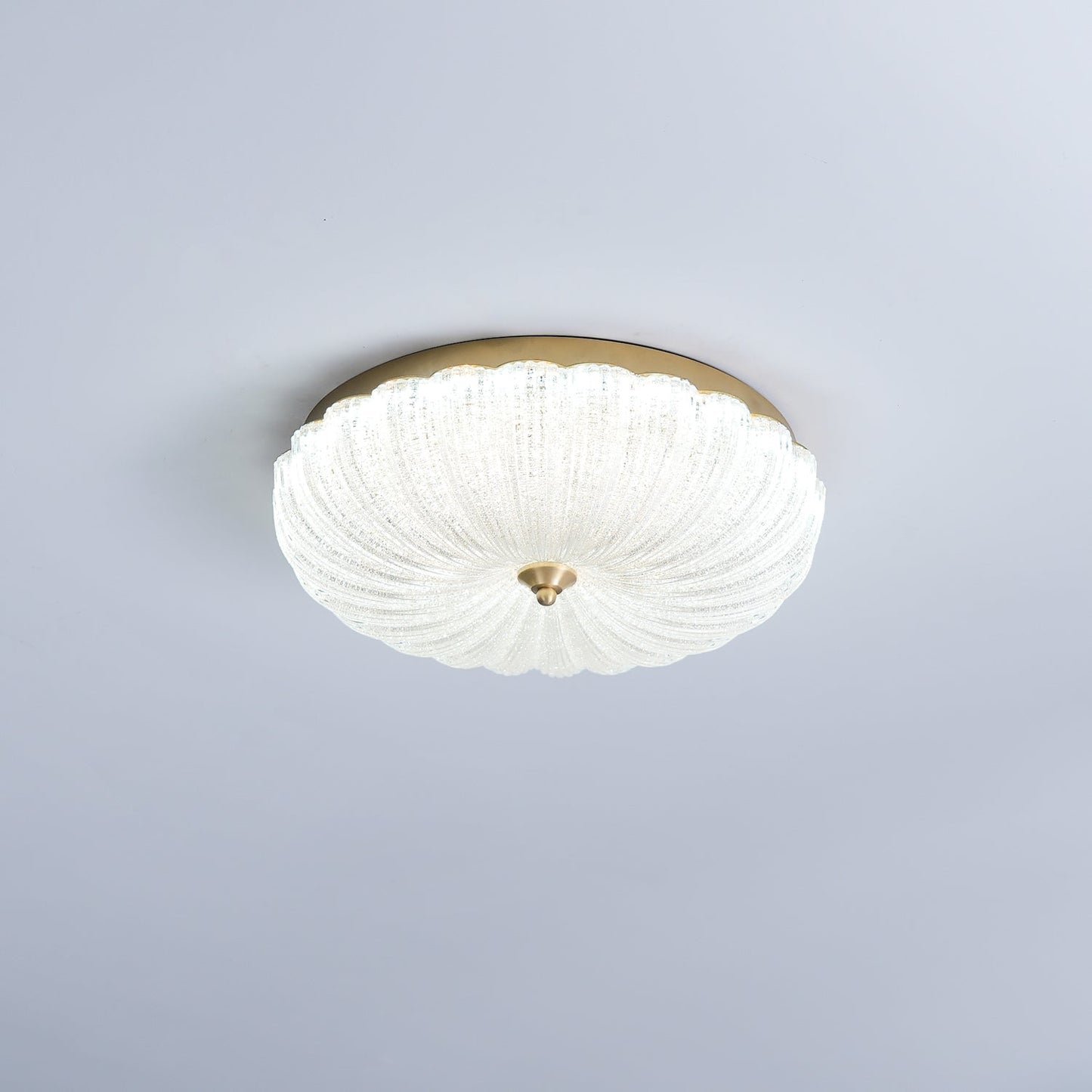 Enchanting Ceiling Light