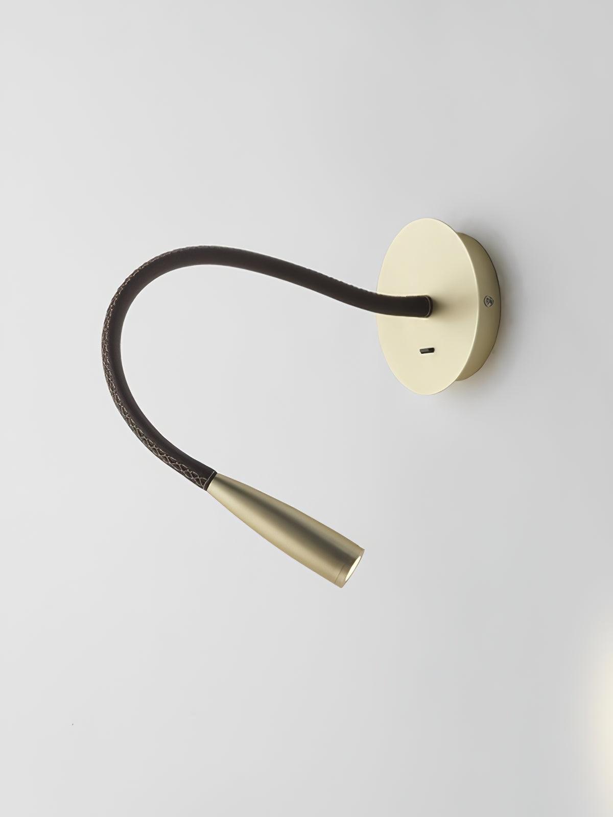 Flexi Hose Wall Light