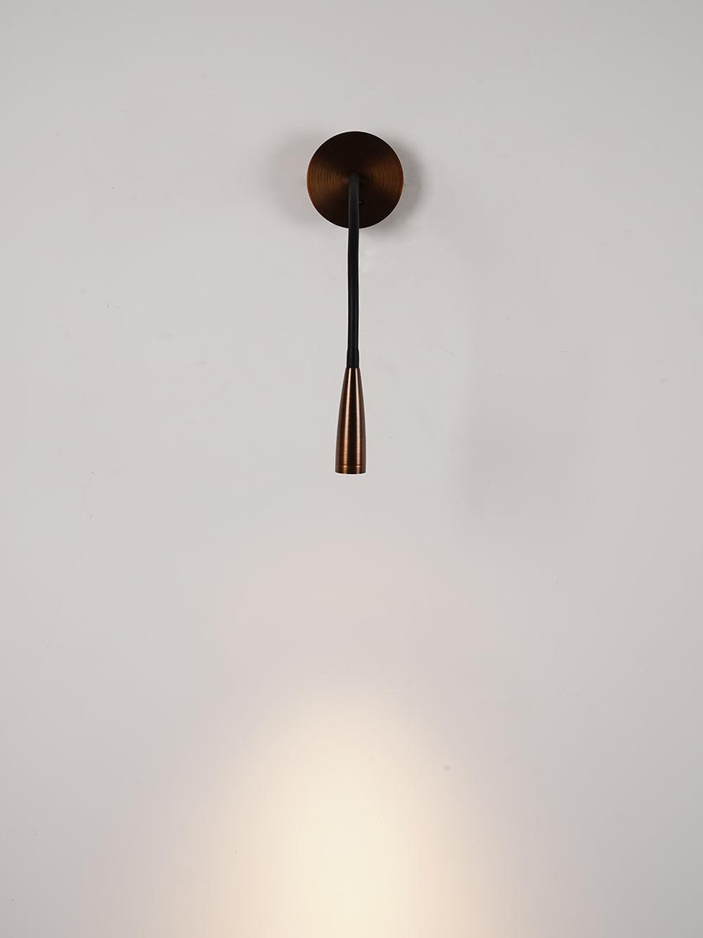 Flexi Hose Wall Light