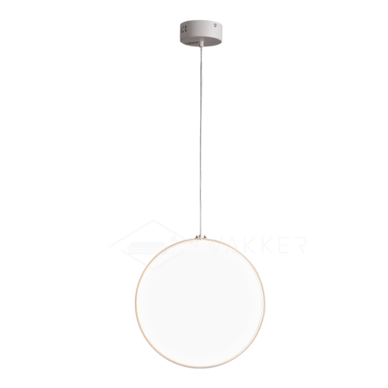 Focus Pendant Light