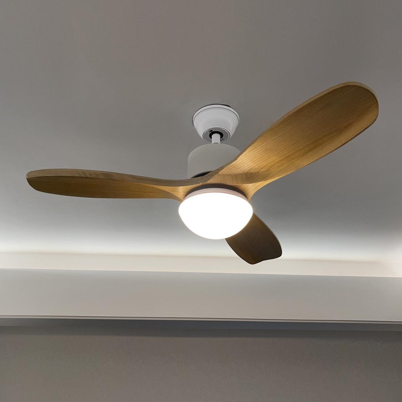 Harborough 3 Ceiling Fan Light